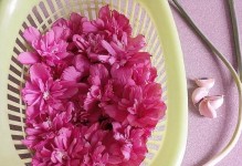 怎样保存被摘下来的花（延长鲜花寿命的小窍门）