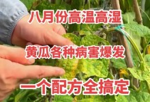 黄瓜的生长环境条件与特点（探究黄瓜生长所需的气候、土壤、光照、水分等因素及其特点）