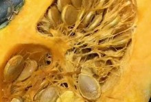 南瓜可以冷冻保存吗？（探究南瓜冷冻保存的方法及注意事项）
