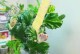 麒麟花养护指南（打造盛开如火的麒麟花园）