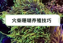 植物姬珊瑚的养殖方法与注意事项（打造室内热带海洋的绝佳选择——植物姬珊瑚）