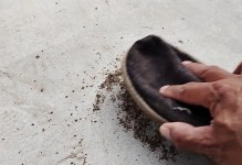 怎样洗胡萝卜才能让它变得干净（胡萝卜清洁指南——十五步教你如何洗干净胡萝卜）