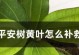 黄叶营救计划