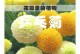乒乓菊花期（乒乓菊花期是什么？它的持续时间有多长？）