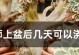 法师上盆方法与养护注意事项（从选盆到养护，教你成功上盆）