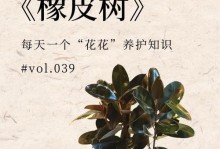 橡皮树截短后的养护指南（截短橡皮树的关键步骤与注意事项）