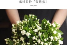 藿香蓟鲜切花养护指南（打造花园的亮丽装点）