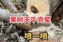 树上生虫子，如何解决？（发现树上生虫子后，可采取的措施与方法）