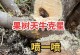 树上生虫子，如何解决？（发现树上生虫子后，可采取的措施与方法）