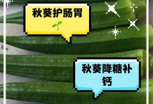 如何轻松养好秋葵（秋葵养殖方法和养护要点）