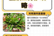 蟹爪兰花发干的原因及解决方法（保持湿润是关键，注意光照和温度）