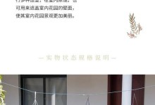 常青藤冬季水培的技巧与要点（以常青藤冬季水培方式养护植物，让它们在寒冷的季节依旧茂盛）