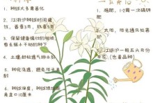 如何处理百合开败后的情况（关键步骤和注意事项）