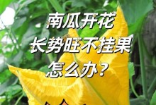 南瓜的种植与养护（掌握南瓜种植技巧，丰收不是梦）