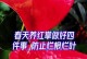 如何处理红掌出现烂根现象？（有效方法帮助红掌恢复健康）