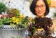 草炭土的配制及应用（以草炭土为基础改良土壤，提升植物生长效果）