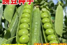 水培蔬菜的简易方法（如何在家中实现蔬菜水培）