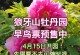 牡丹开花周期解析（一年一度，盛放绚烂——了解牡丹的开花规律）