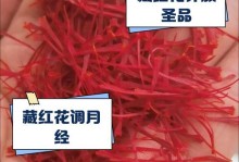 绚丽如火的藏红花，探寻其秘密之旅（揭开藏红花的神秘面纱，探寻其独特魅力）
