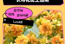 种植扶桑花的土壤培育方法