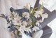插水仙百合花的养护技巧（水仙百合的水培养殖方法与注意事项）