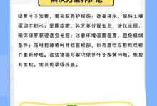如何解决绿箩新叶子发黄问题（绿箩植物护理技巧，叶片变黄的原因及处理方法）