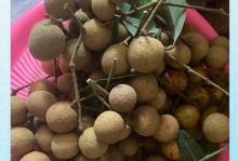 探究龙眼甜度，让你了解真相（甜度到底多少，该如何挑选？）