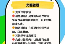 小玫瑰盆栽的养殖方法和注意事项（打造美丽庭院，从小玫瑰盆栽开始）