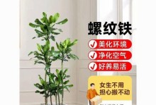螺纹铁的养护技巧（打造耐用螺纹铁，提升维修效率）