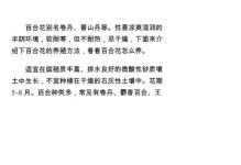 百合养护的重要性（百合养护的益处及方法）