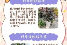 全面管理皮树（皮树管理的关键技巧和实用建议）