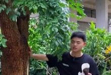 幸福兰的养护秘籍（打造迷人兰花园的关键步骤与技巧）