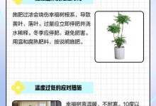 幸福树叶子枯萎的原因及处理方法（探究幸福树叶子枯萎的主要因素，以及如何有效处理）