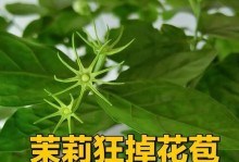 茉莉花为何会落叶？（揭秘茉莉花叶片脱落的原因与机制）