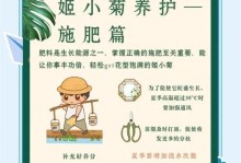 冬天养殖姬小菊的方法与注意事项（冬天姬小菊养殖，关键是保暖）