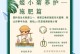 冬天养殖姬小菊的方法与注意事项（冬天姬小菊养殖，关键是保暖）