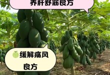 木瓜种子的种植方法和注意事项（从种子到果实，一步步教你如何种出美味的木瓜）