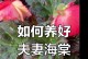 如何解决夫妻海棠不爱长的问题（培育夫妻海棠的3个关键技巧）