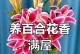 家居花卉养护宝典（打造室内花园，让家更有生机）