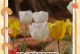 冬季花草如何过冬（保护花草免受寒冷侵害的有效方法）