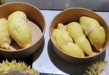 如何判断金枕榴莲的成熟度（金枕榴莲成熟度的关键因素与判断方法）