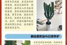 龙骨掉叶子的补救方法（解决龙骨掉叶子的有效措施）
