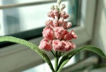 风信子的花苞掉了怎么接回去？（捡回落地的花苞，再现花海盛景）