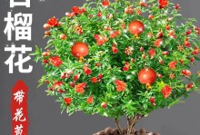 石榴花叶子干的妙用——创意手工DIY（以石榴花叶子干为材料，轻松打造个性化手工艺品）