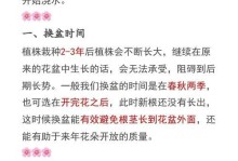 如何确定植物换盆以及选择适当的花盆尺寸（为您提供换盆与选择花盆的专业指导）