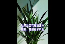 兰花如何合理施肥（科学方法让兰花茁壮成长）