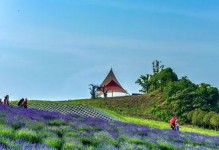 薰衣草的神奇魅力（探索薰衣草的来源、种类和用途）