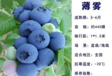 蓝莓苗冬季防寒措施（冬天蓝莓苗需要如何保暖？）