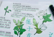 以栀子花插扦后的养护技巧（插扦栀子花的关键步骤和注意事项）