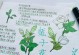 以栀子花插扦后的养护技巧（插扦栀子花的关键步骤和注意事项）